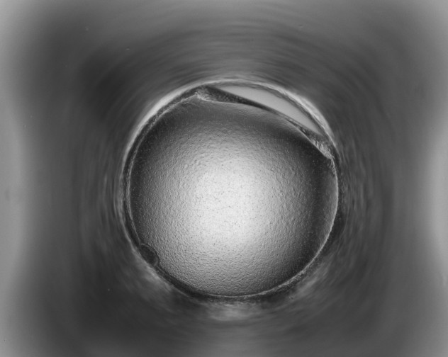 X0000086240895200704051216