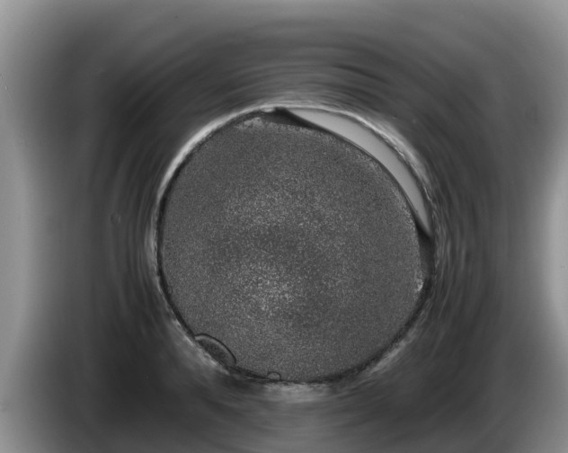 X0000086240896200704051216