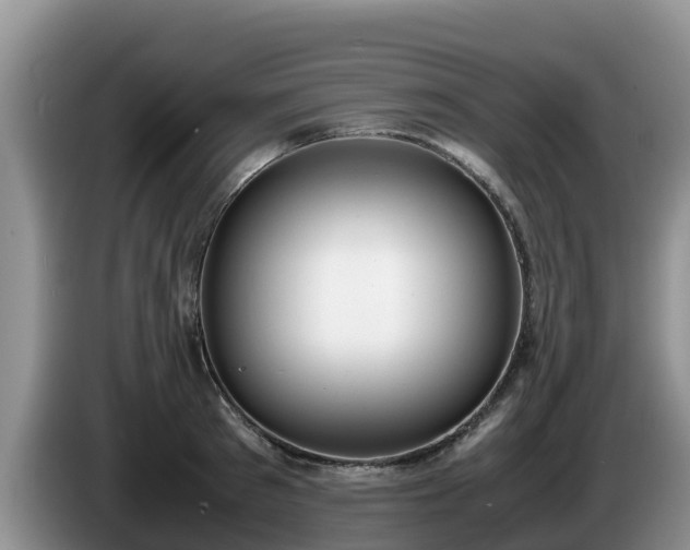 X0000086240897200704051216