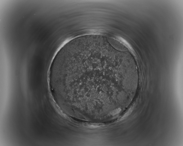 X0000086240899200704051216