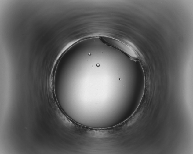 X0000086240900200704051216