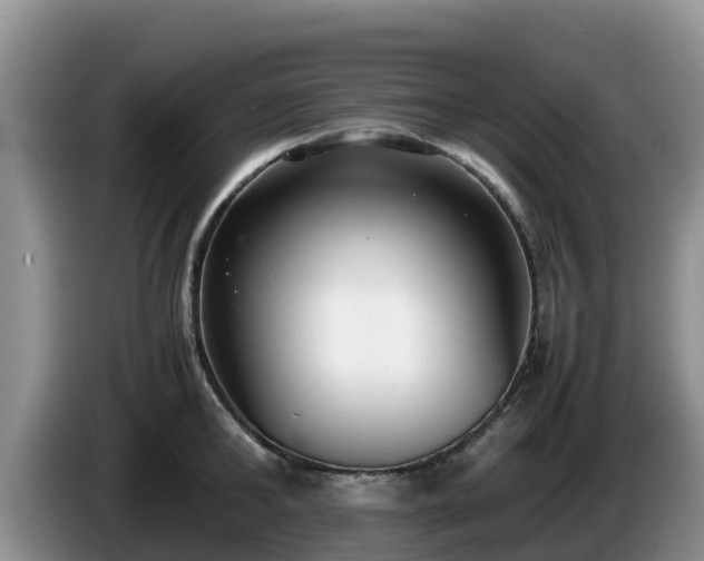 X0000086240902200704051216