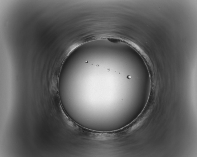 X0000086240905200704051216