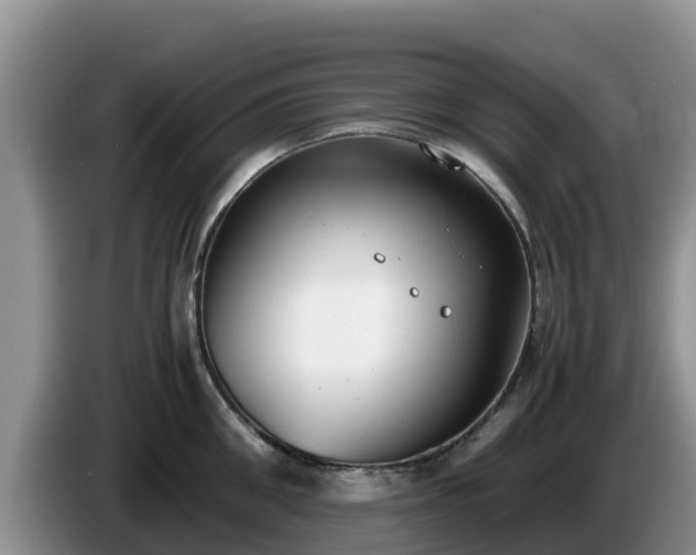 X0000086240906200704051216