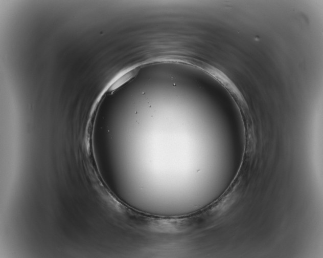 X0000086240908200704051216