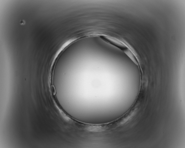 X0000086240909200704051216