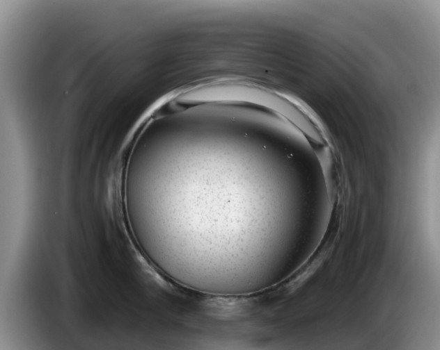 X0000086240910200704051216
