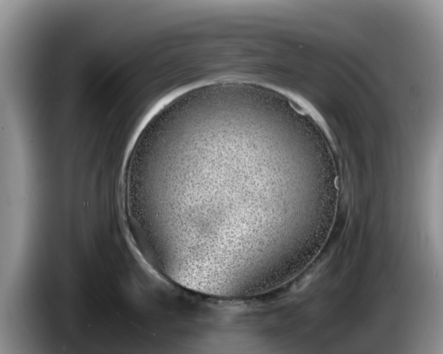X0000086240911200704051216