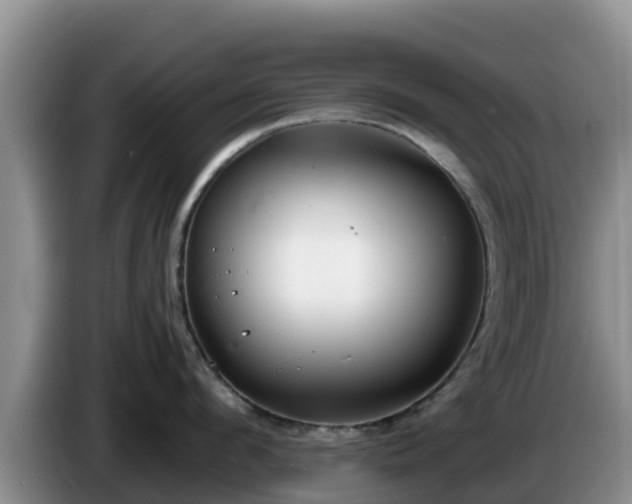 X0000086240912200704051216
