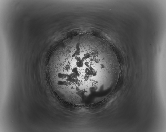 X0000086240913200704051215