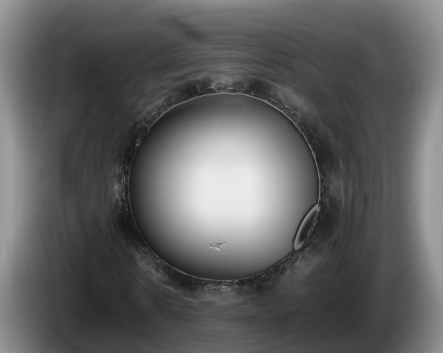 X0000086240914200704051215