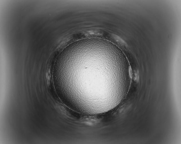 X0000086240915200704051215