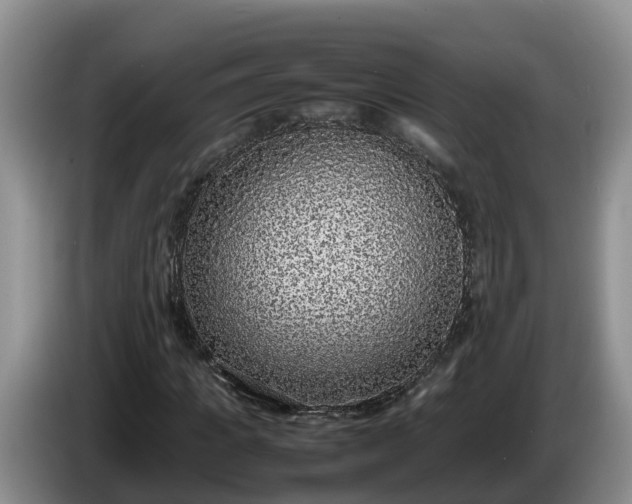 X0000086240917200704051215