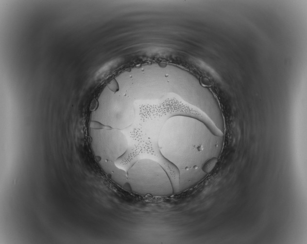 X0000086240918200704051215
