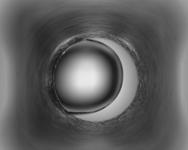 X0000086240920200704051215