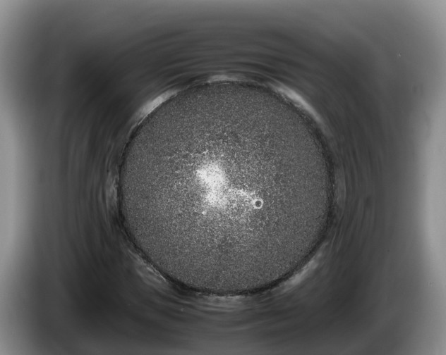 X0000086240921200704051215