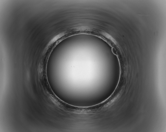 X0000086240922200704051215