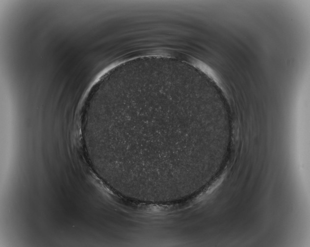 X0000086240923200704051215
