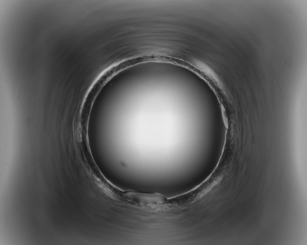 X0000086240924200704051215