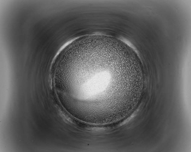 X0000086240925200704051215
