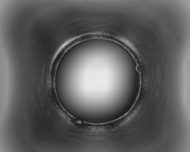 X0000086240927200704051215