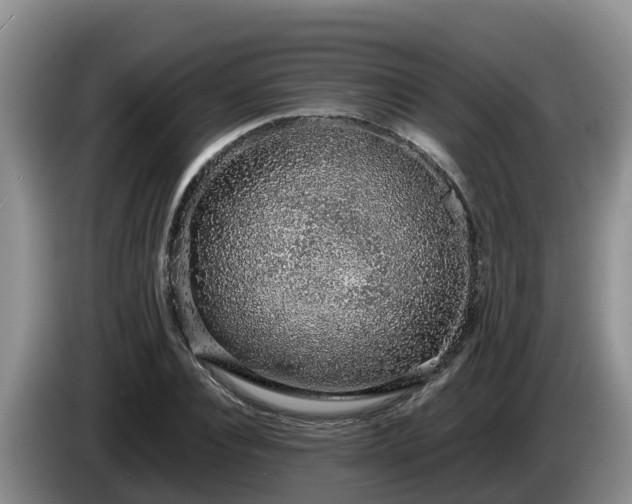 X0000086240928200704051215