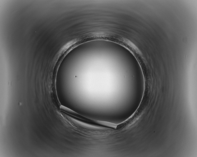X0000086240930200704051215
