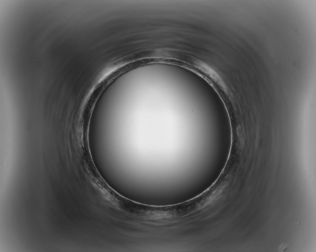 X0000086240931200704051215