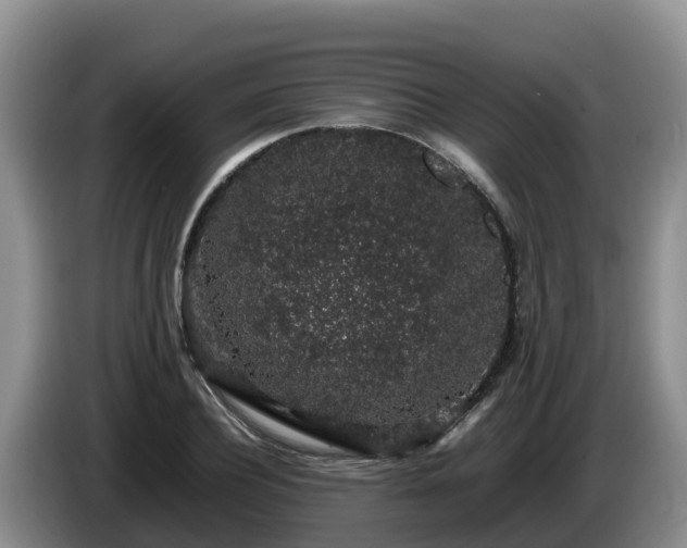 X0000086240932200704051215