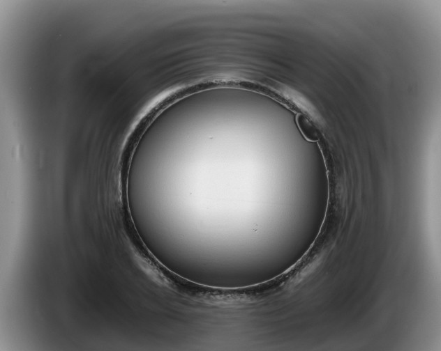 X0000086240934200704051215