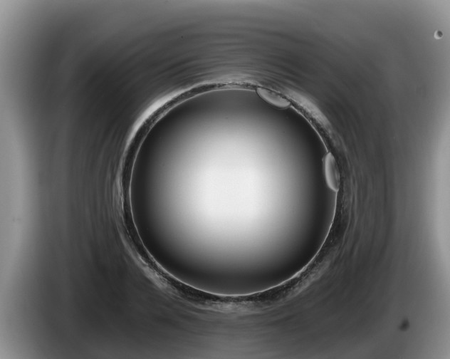 X0000086240936200704051216