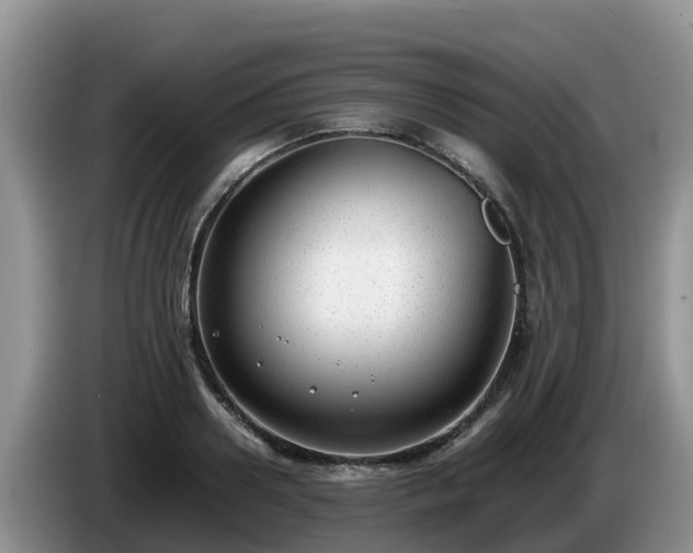 X0000086240938200704051216