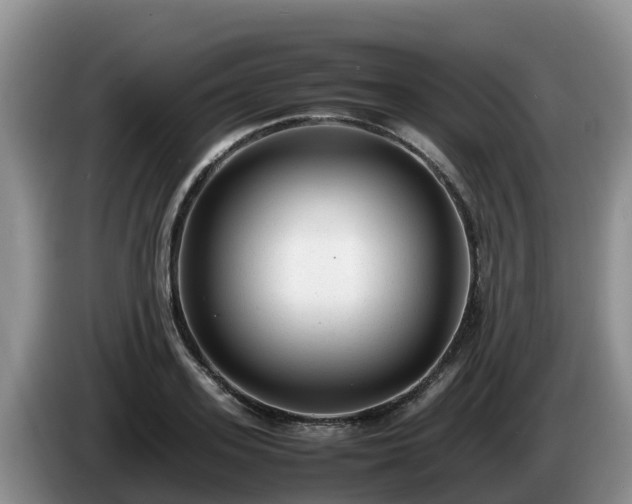 X0000086240939200704051216