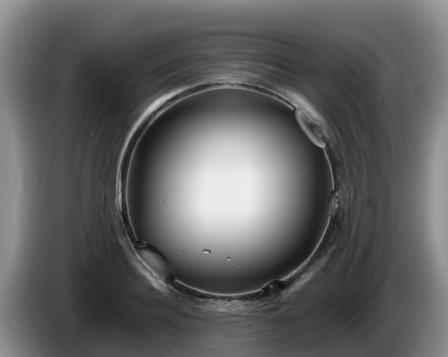 X0000086240940200704051216