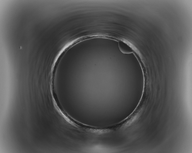 X0000086240941200704051216