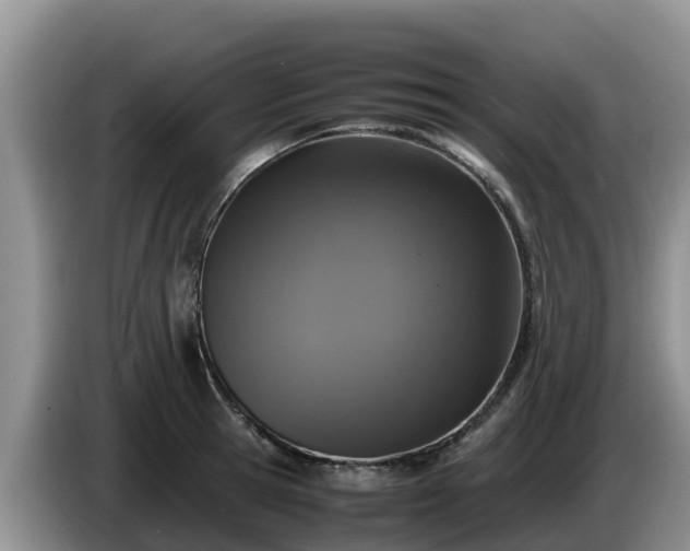 X0000086240945200704051216