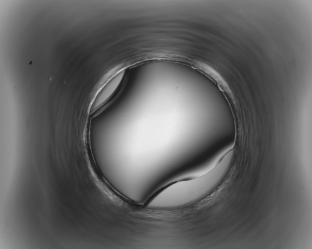 X0000086240946200704051216