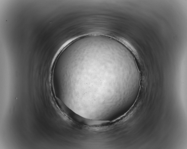 X0000086240948200704051216