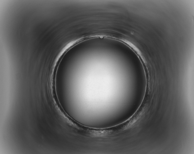 X0000086240949200704051216