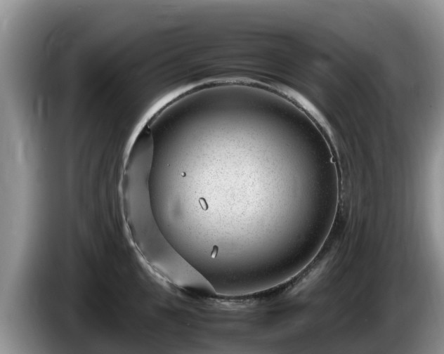 X0000086240951200704051216