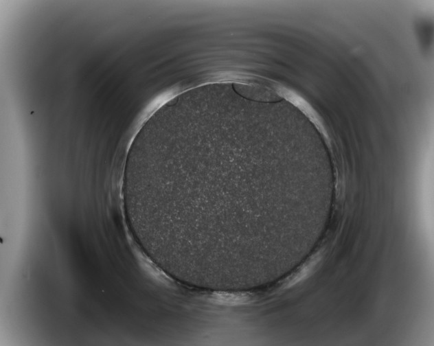 X0000086240954200704051216