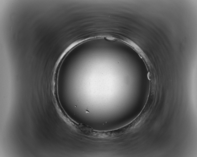 X0000086240955200704051216