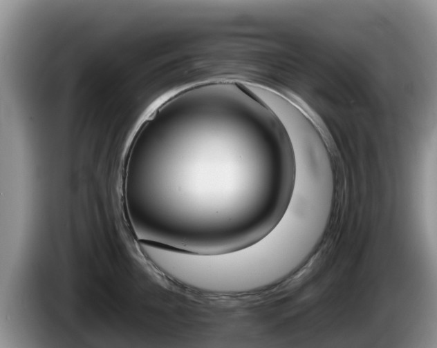 X0000086240956200704051216