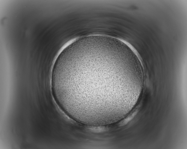 X0000086240957200704051216
