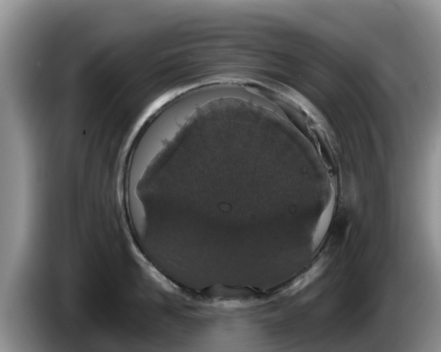 X0000086240958200704051216