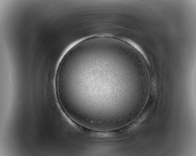 X0000086240959200704051216