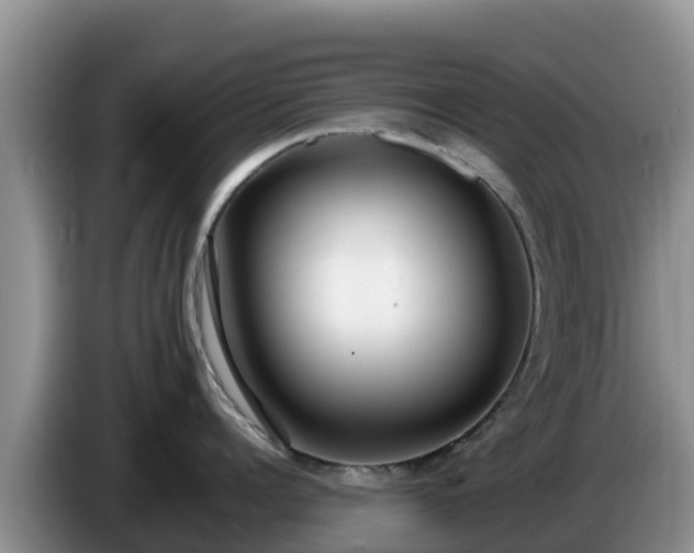 X0000086240960200704051216