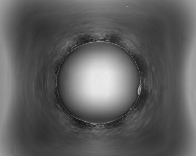 X0000086240961200704051215