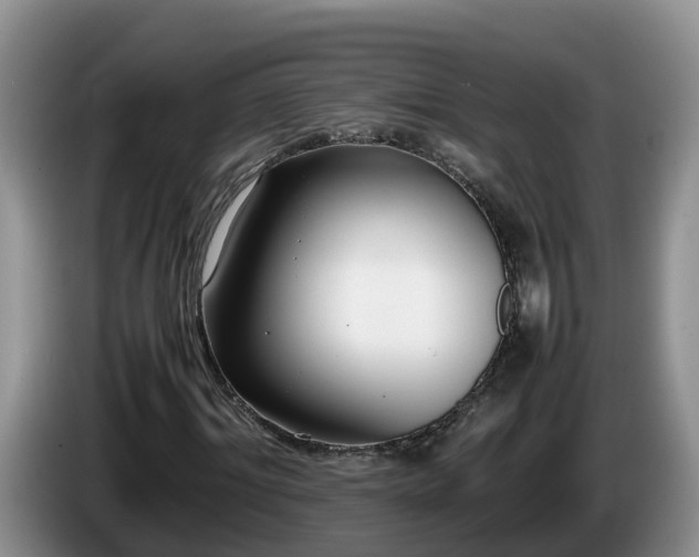 X0000086240964200704051215