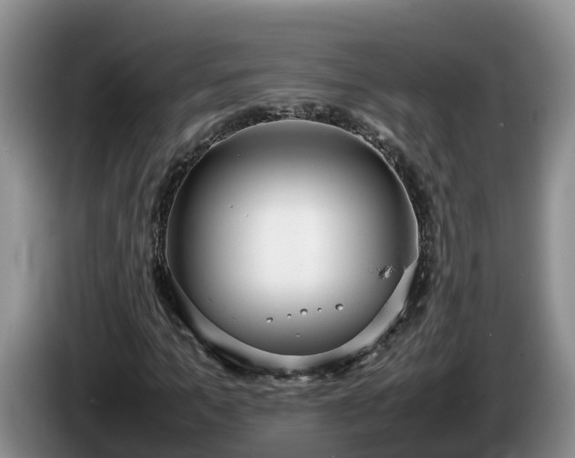 X0000086240965200704051215